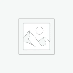 AI-Powered ERPNext Service